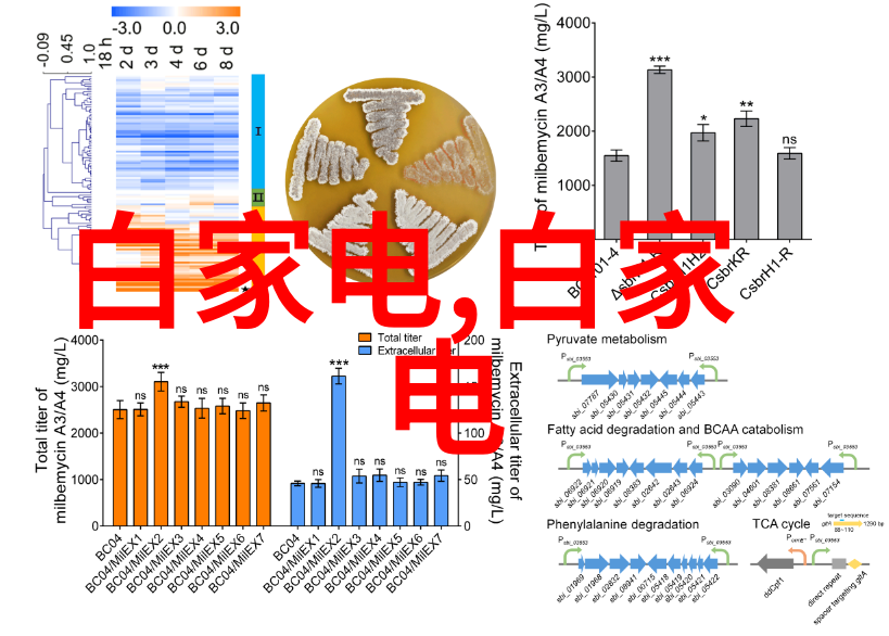 45厚壁钢管结构强固的选择