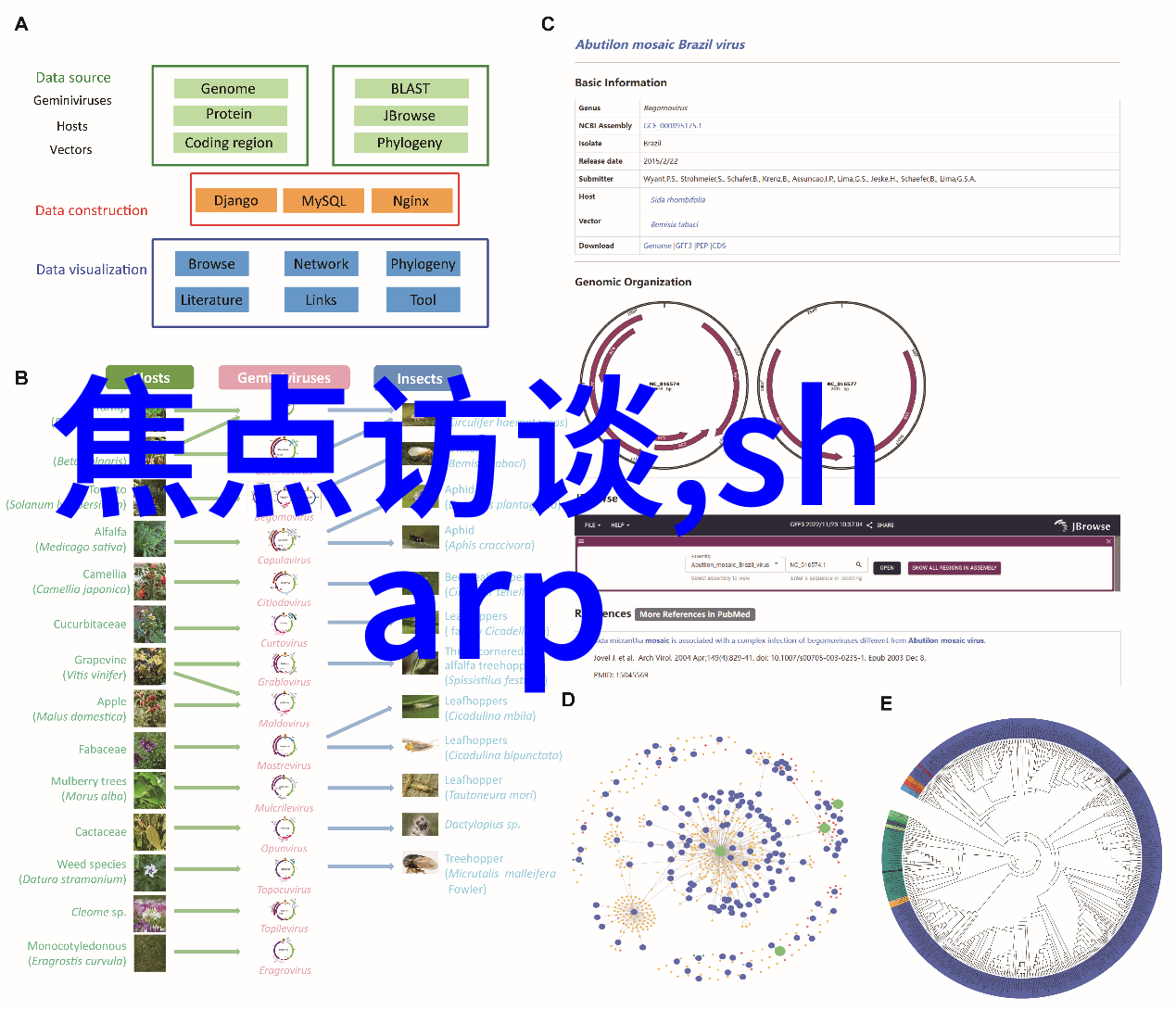 广州镜头街聚焦光影传奇