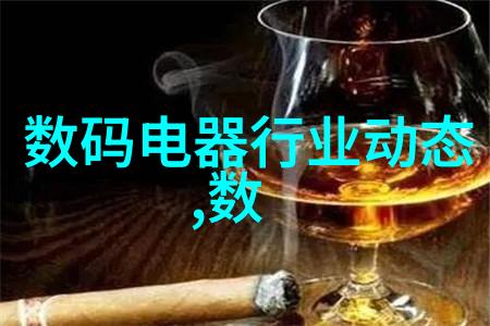 回响中的变革电磁之韵的循环篇章