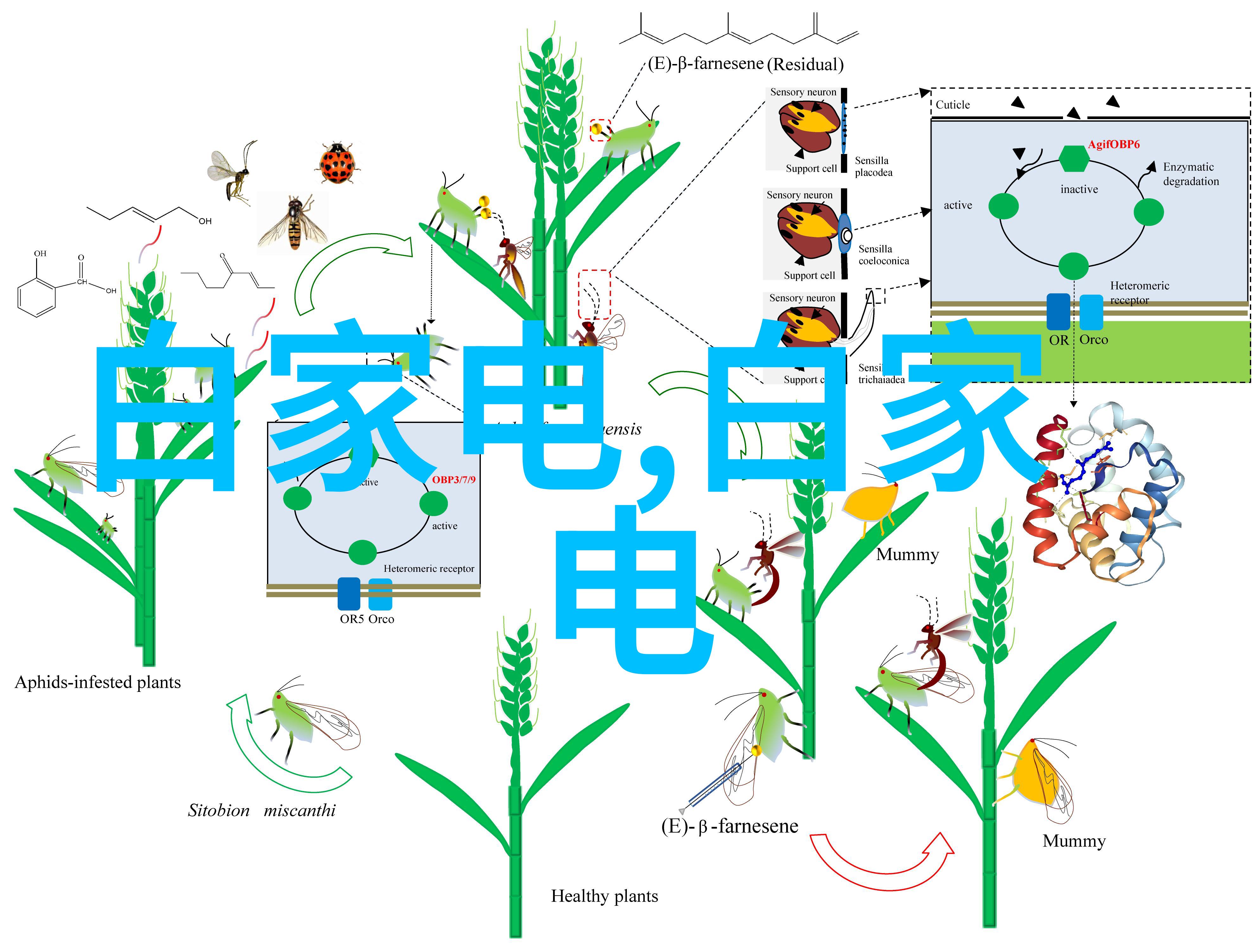 球墨铸铁管-耐腐蚀高强度的管材选择