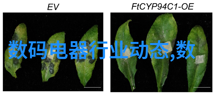 豪华浴室梦境探秘卫生间奢华装修效果图的创意与实用