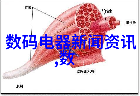 新疆财经大学东方财富网股市深度解析财智双馈