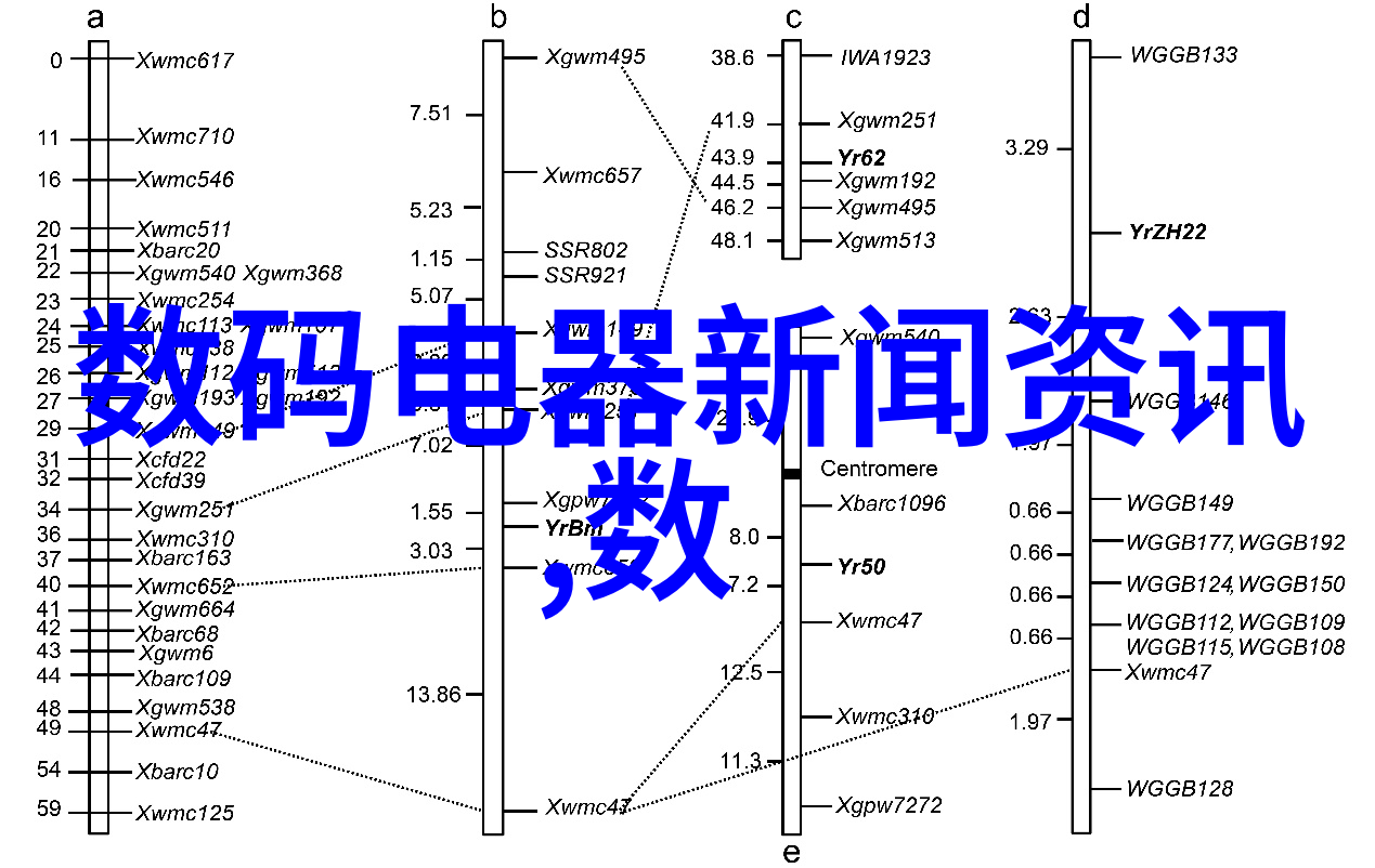 索尼全画幅微单镜头之王的无限可能