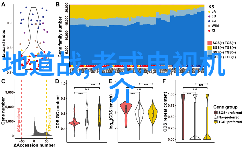 江苏海事职业技术学院-深耕海事教育开启航道未来江苏海事职业技术学院的发展历程与成就展览