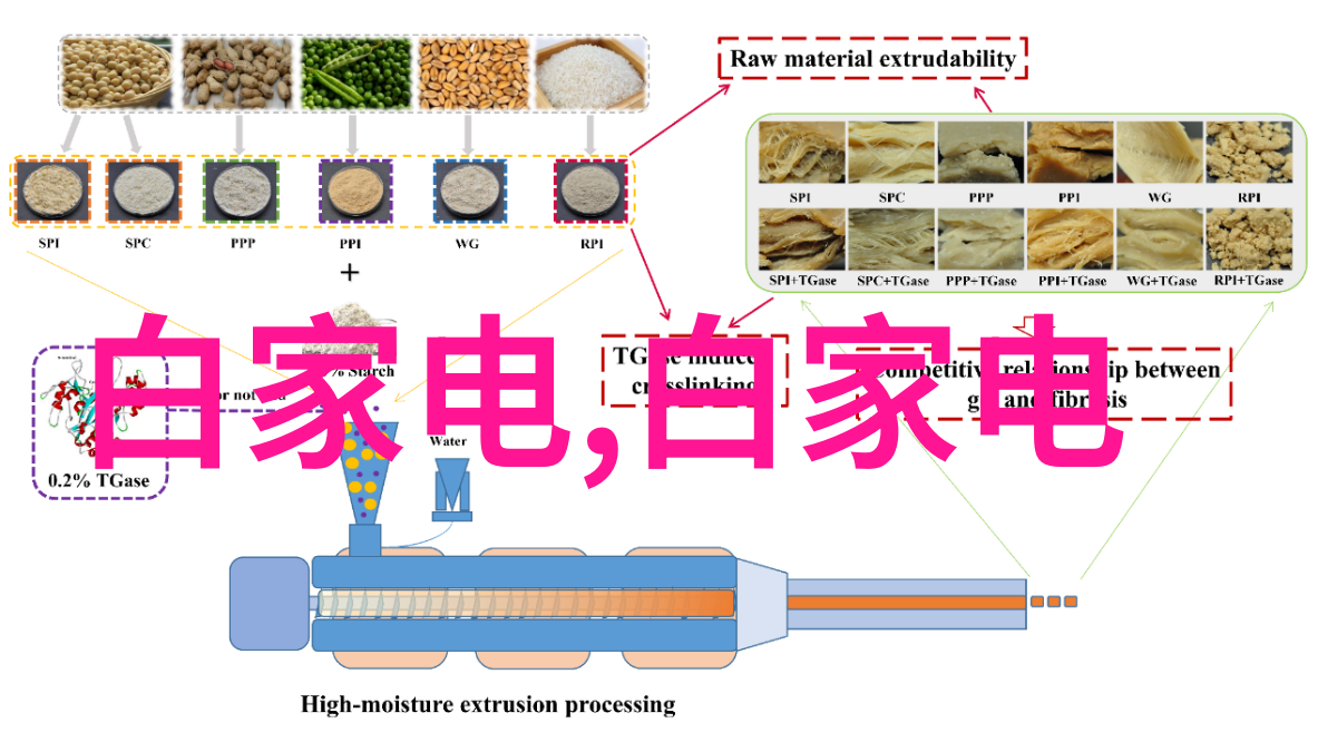 蓝桉花语沉默中的秘密