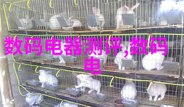 环境保护与人体健康兼顾绿色自然杀手之选六种生物性质生态友好型灭菌剂及其应用技巧介绍及比较分析