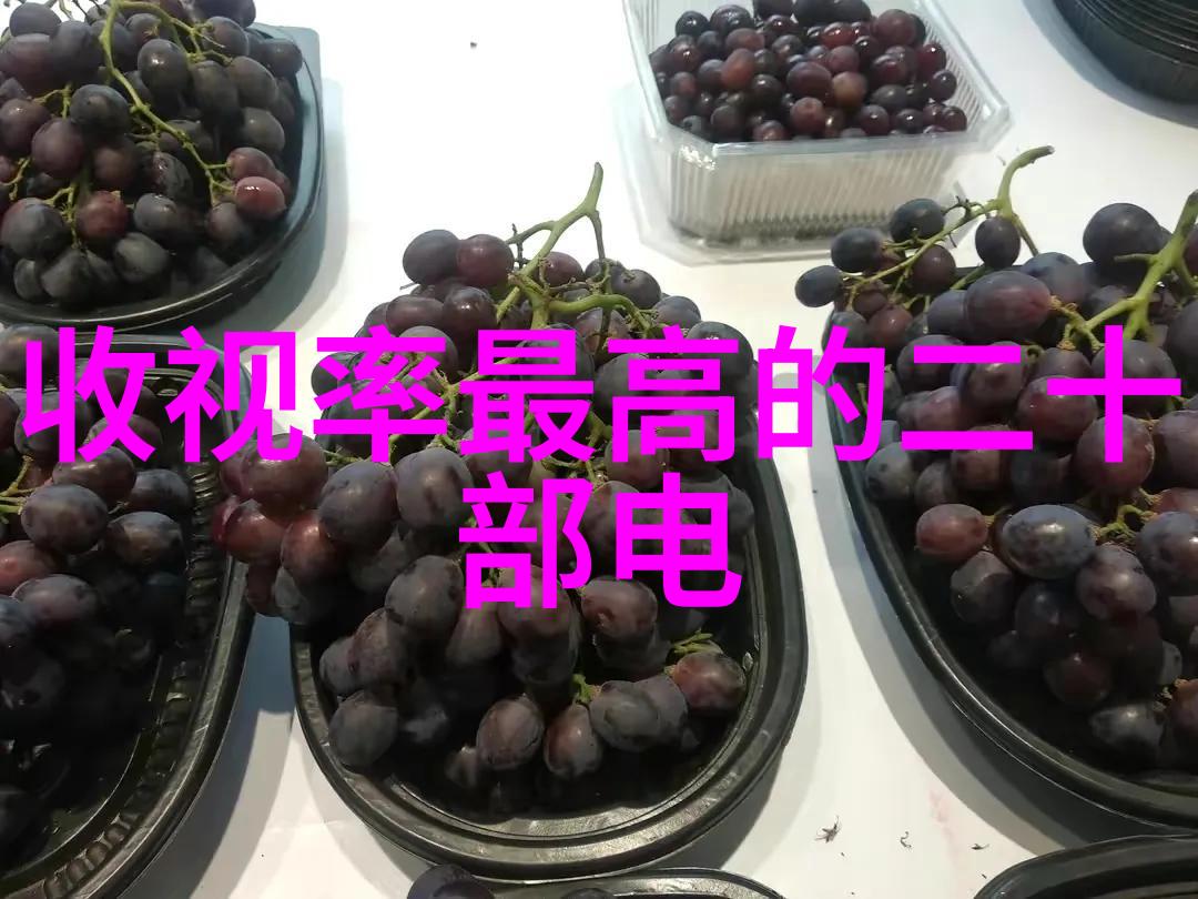 我来告诉你芯片大揭秘从小零件到科技巨石