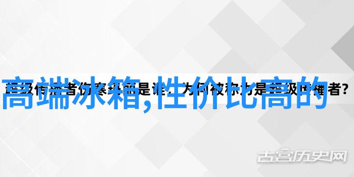 芯片相当于人体的什么它是我的大脑里的运算核心吗