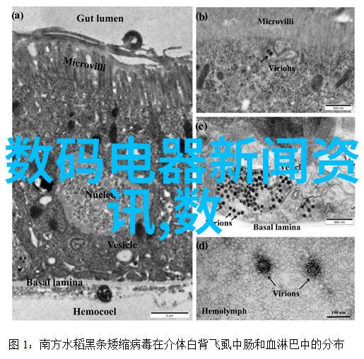 变美不难探索最受欢迎的手机拍照软件