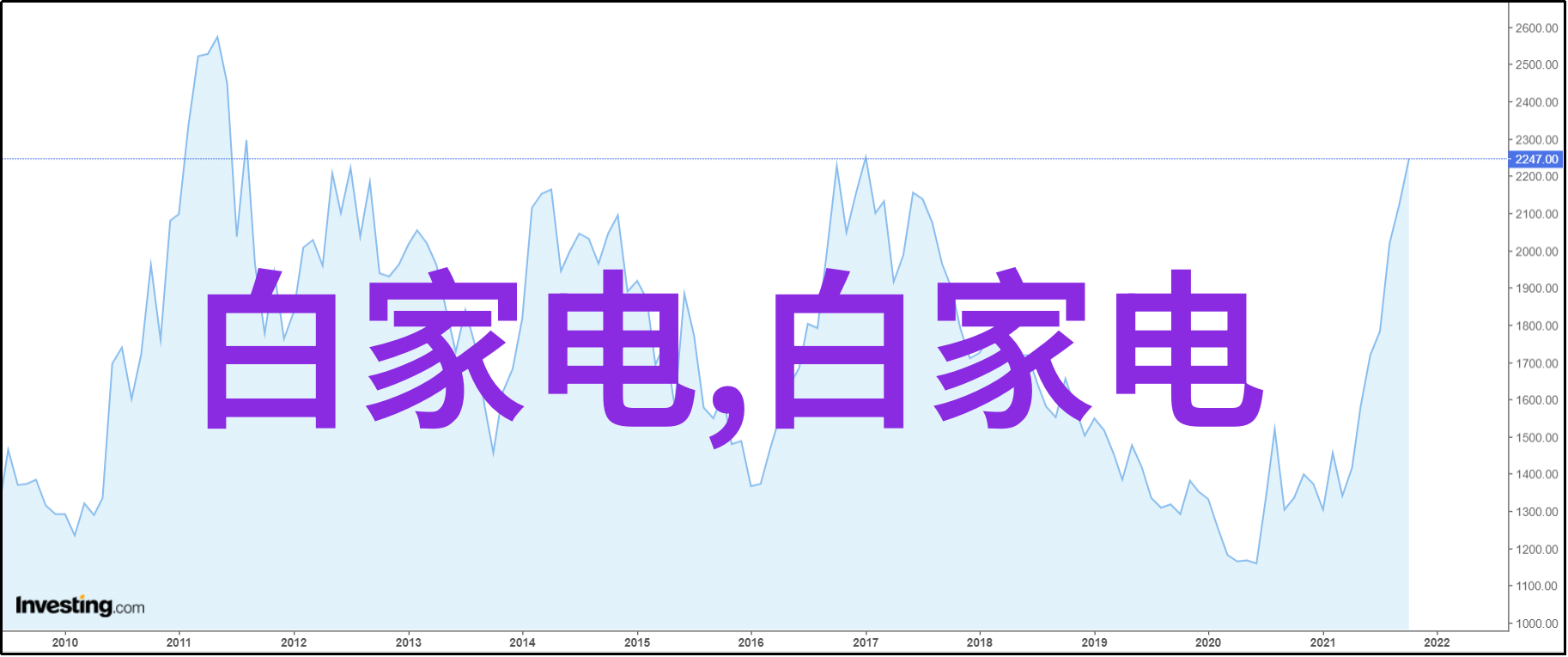 人文关怀记录流浪猫咪讲述一段温暖故事