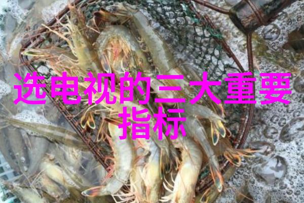 客厅和餐厅在一起怎么装修设计亲测5大技巧让家里更有气息