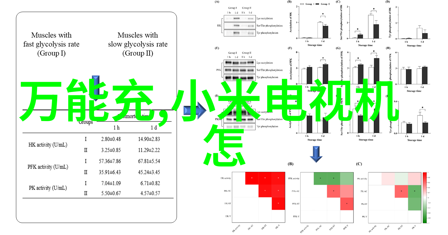 保驾护航我是你的人生导师