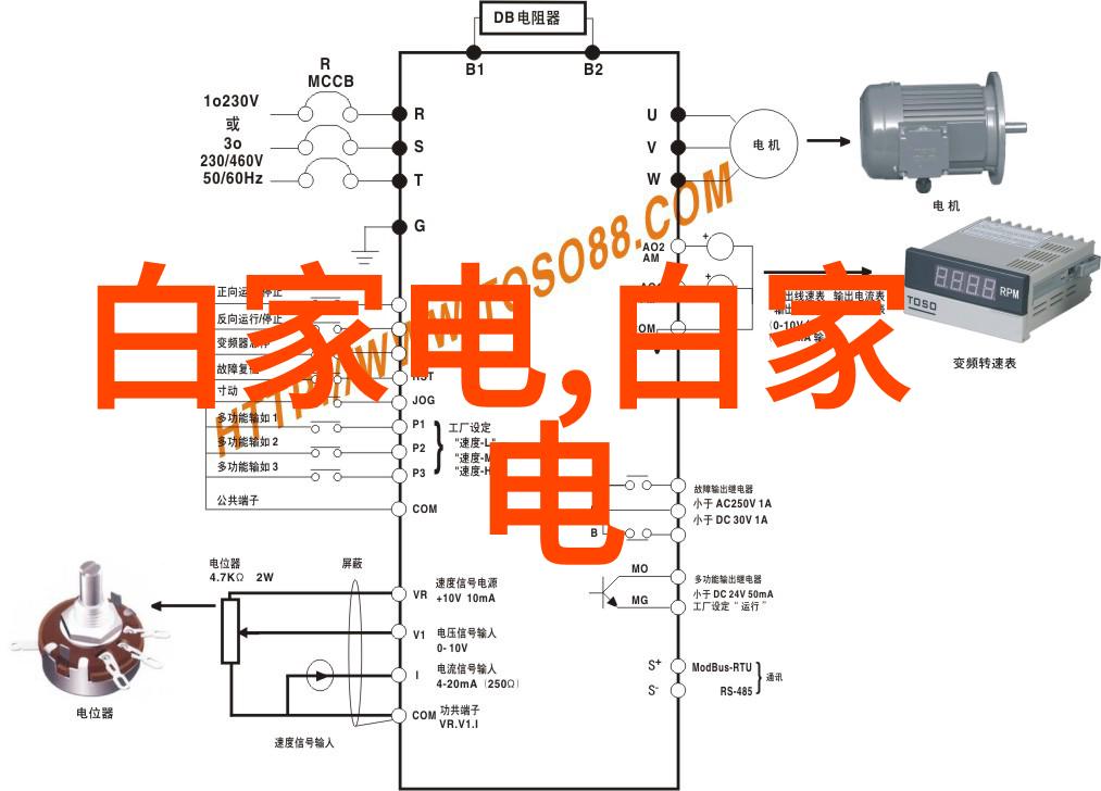 前军先锋探索前军文化背后的精神与力量