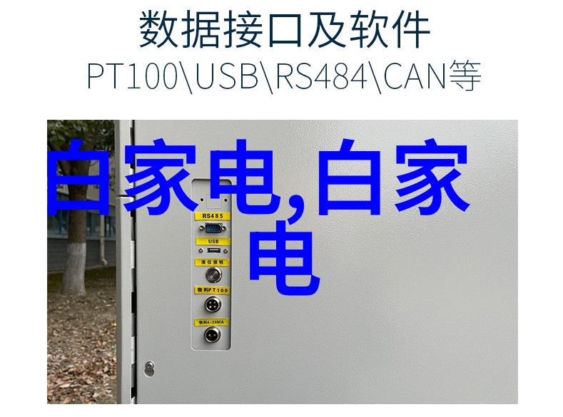 30平米一居室装修指南巧用空间营造温馨家园