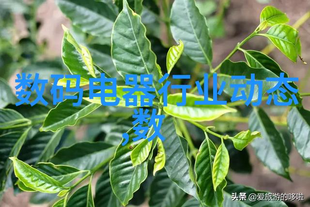 家庭装修图纸的重要性与使用方法