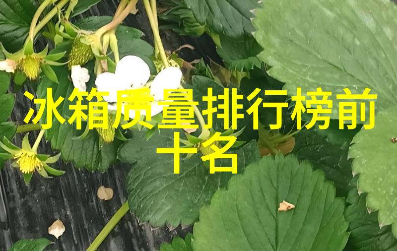 化工制药用气设备-探索高效节能的气动技术在实际应用中的优势与挑战