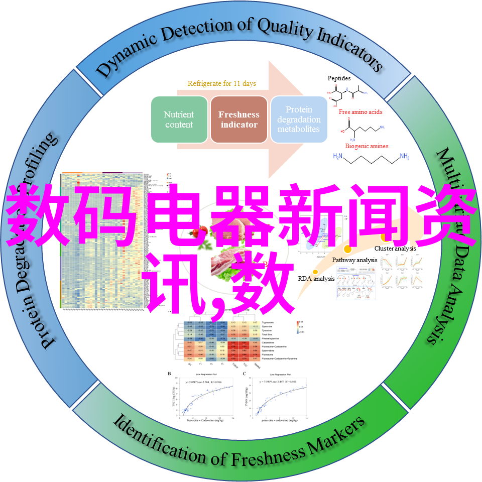 人与禽性7777777-飞翔与脚步探索人与禽类之间的奇妙共鸣