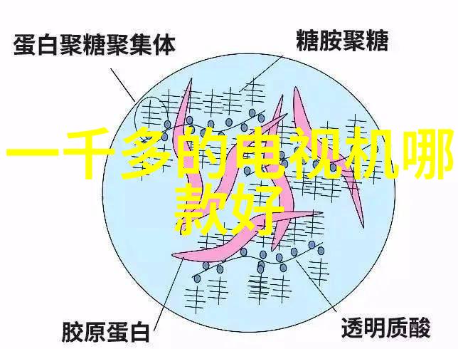 罄竹难书之飞贼小兰花-天涯共此时飞贼小兰花的传奇