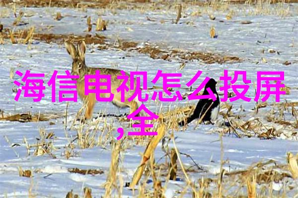 上海纯水设备公司在研发新技术上投入了多少资源