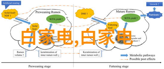 消毒和灭菌常用设备对比分析