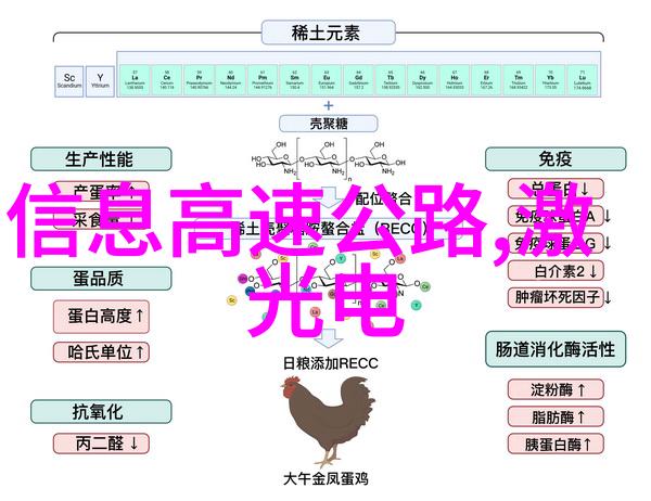 商用密码应用安全测评机构保障企业数据安全的重要角色