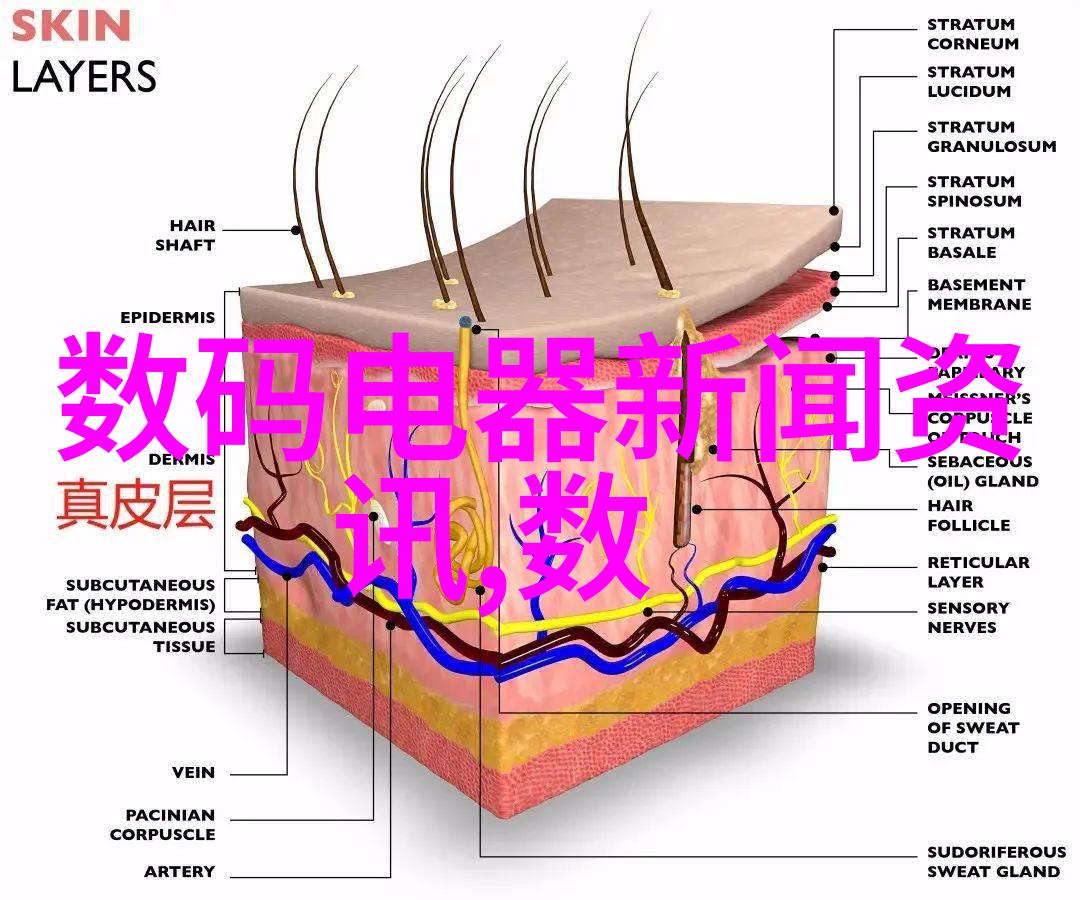 中国橡树摄影网我来分享你一定要见的秋天大片