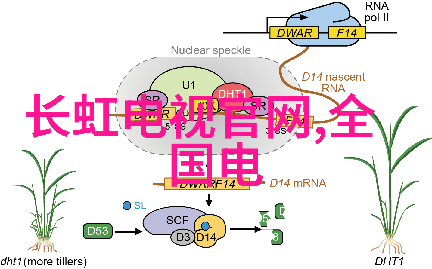 内蒙古财经大学官网深入了解校园教育与金融领域的精彩世界