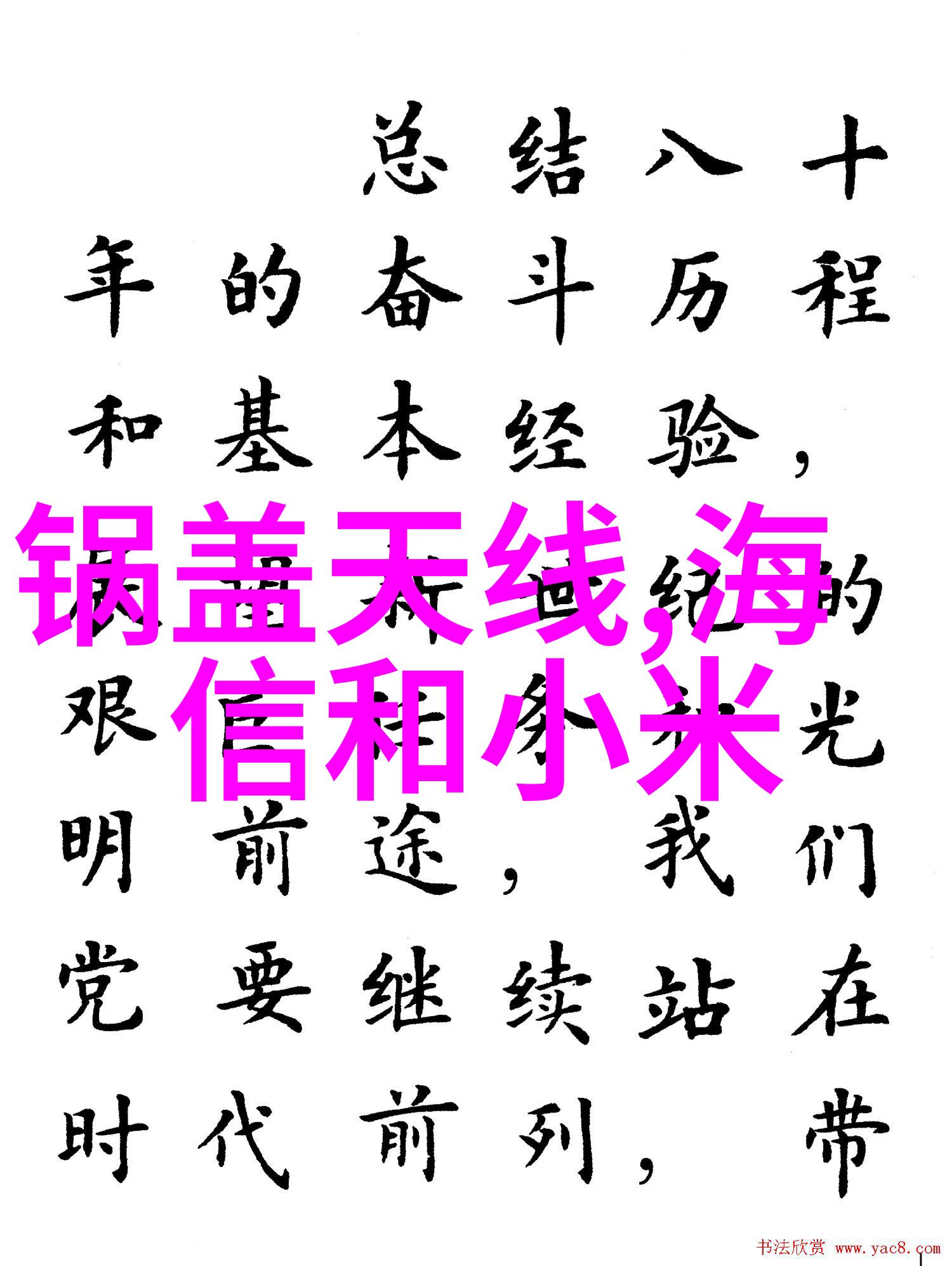 大型净水设备安装流程详解专业技术指导与实用操作手册