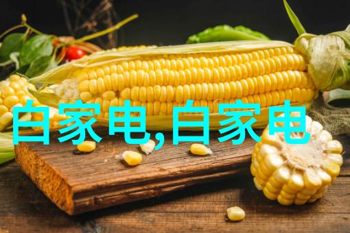 高压灭菌锅的应用场景家庭厨房实验室食品加工