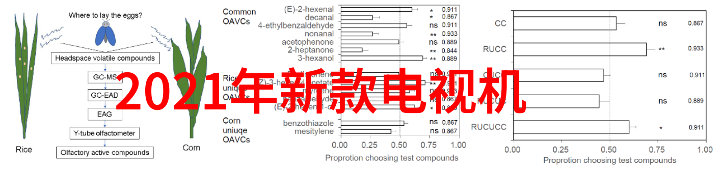 化工制冷设备-高效能节能型化工制冷系统设计与应用