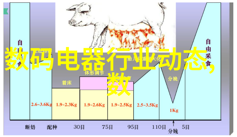 春日筋骨疼痛的缓解之道拉筋技巧详解