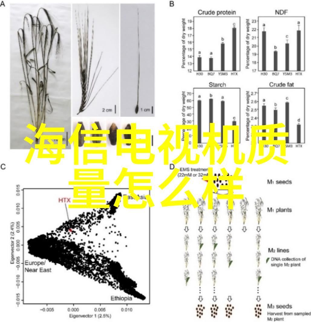 案例图片