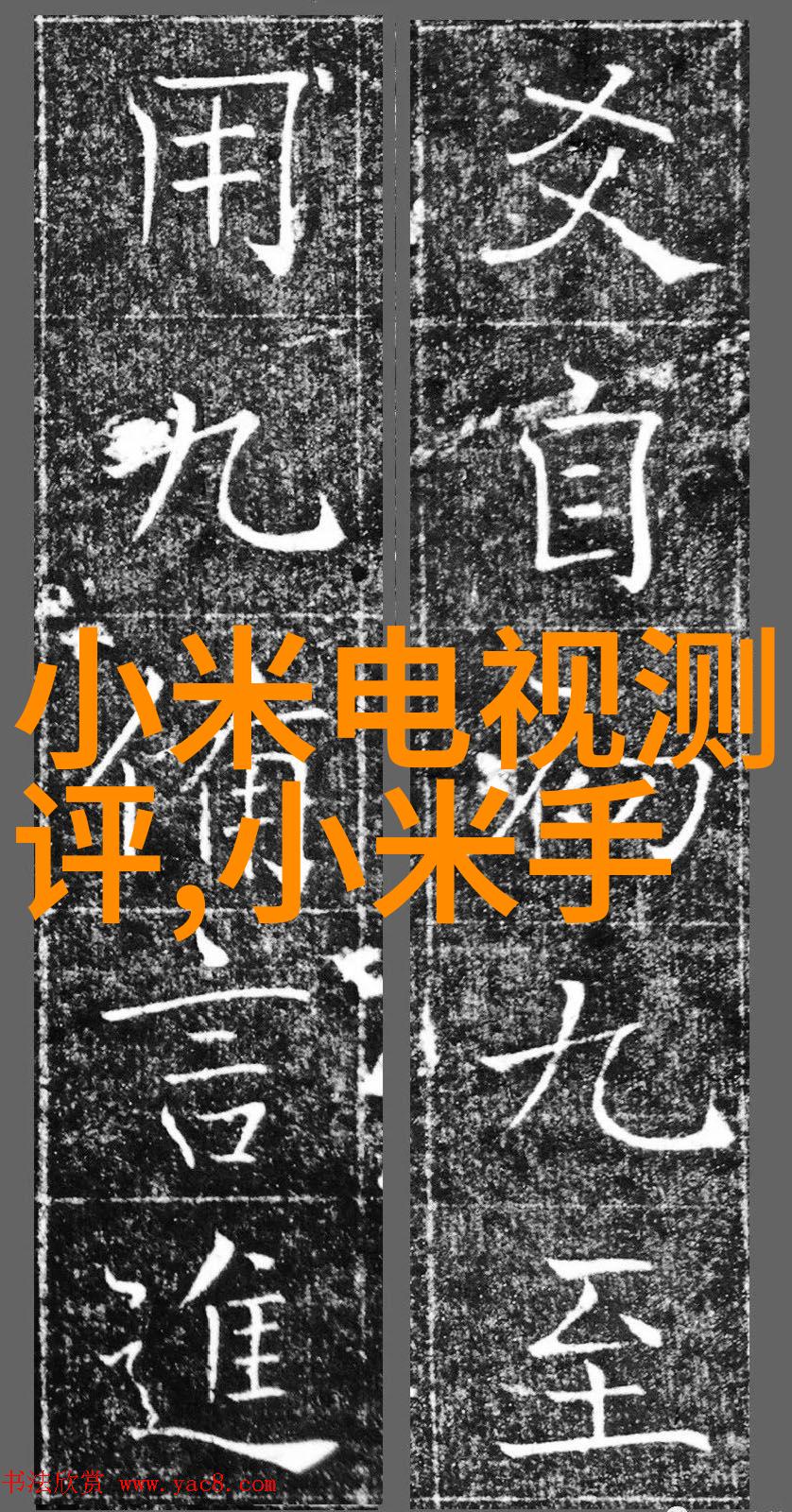 人文艺术课拍37-捕捉时尚与文化的交响人文艺术课拍37的故事