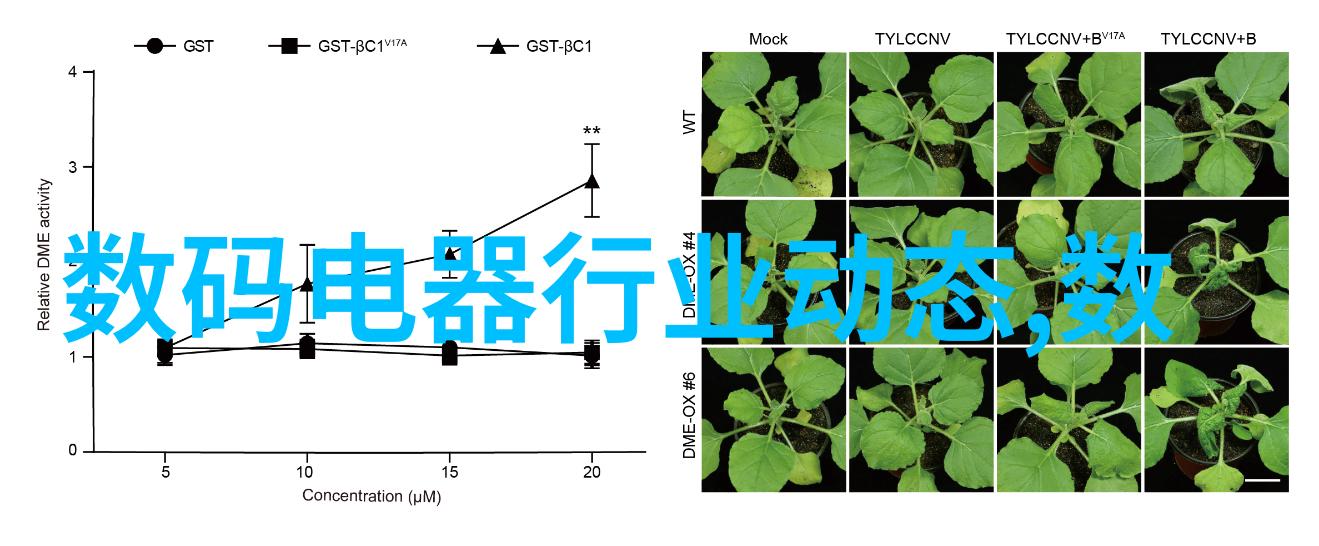 美人殇新浪下的TXT情缘