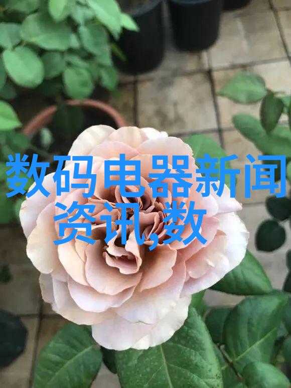 小房子精致装修技巧提升空间感受的艺术