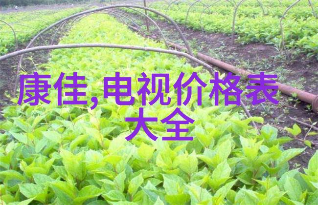 黄瓜栽培技术全解从种植到收获的关键要点