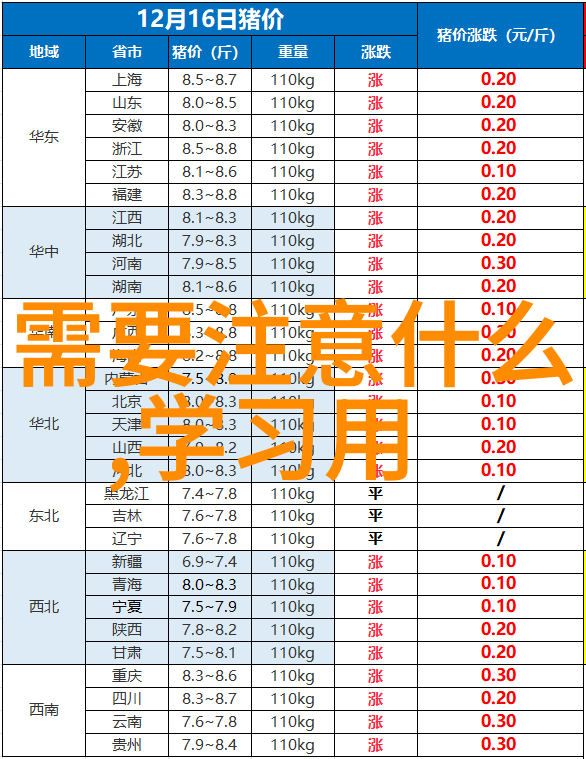 剖析世界顶级人像摄影作品捕捉瞬间的艺术与技巧