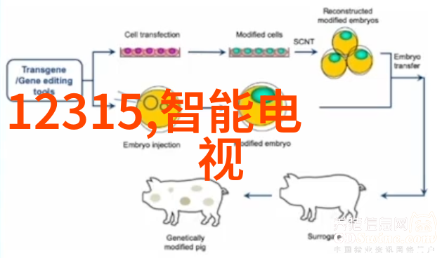 小平米卫生间干湿隔断如何我也能做到的