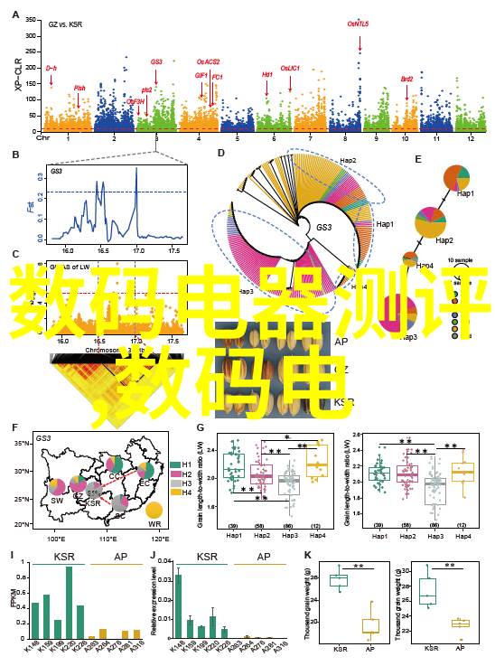 主卧室装修效果图大全2013犹如一幅幅色彩斑斓的画卷引导我们在选择家具时让每一个角落都散发出独特的风