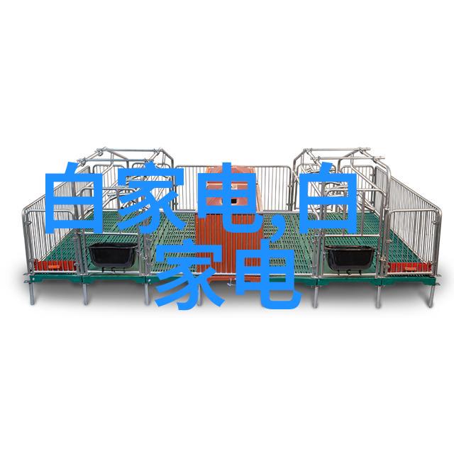 碱液型自动补水氢气发生器APH-500