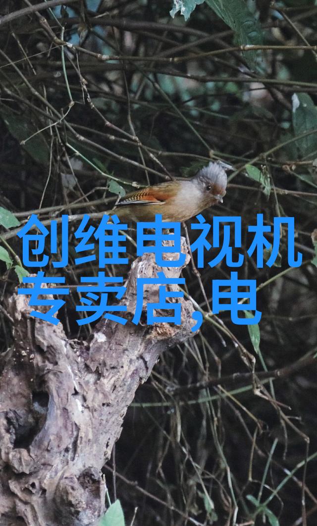 智能穿戴新时代探索可穿戴技术的双刃剑