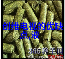 用心塑造家的气息创意与实用的新中式家庭装饰