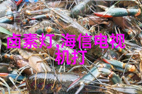 不锈钢圆管价格304价格表-精确对比最新不锈钢圆管304材料成本与市场行情分析