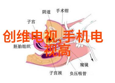 家居美学兄弟装饰的温馨时尚风潮