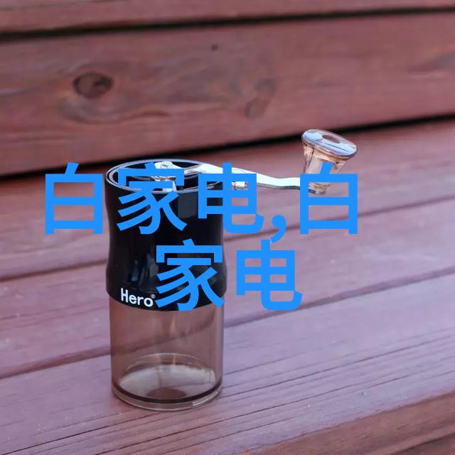 东北财经大学领航经济学的未来之光