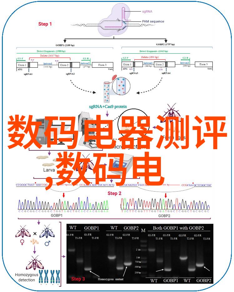 镜头里的故事友谊的永恒印记