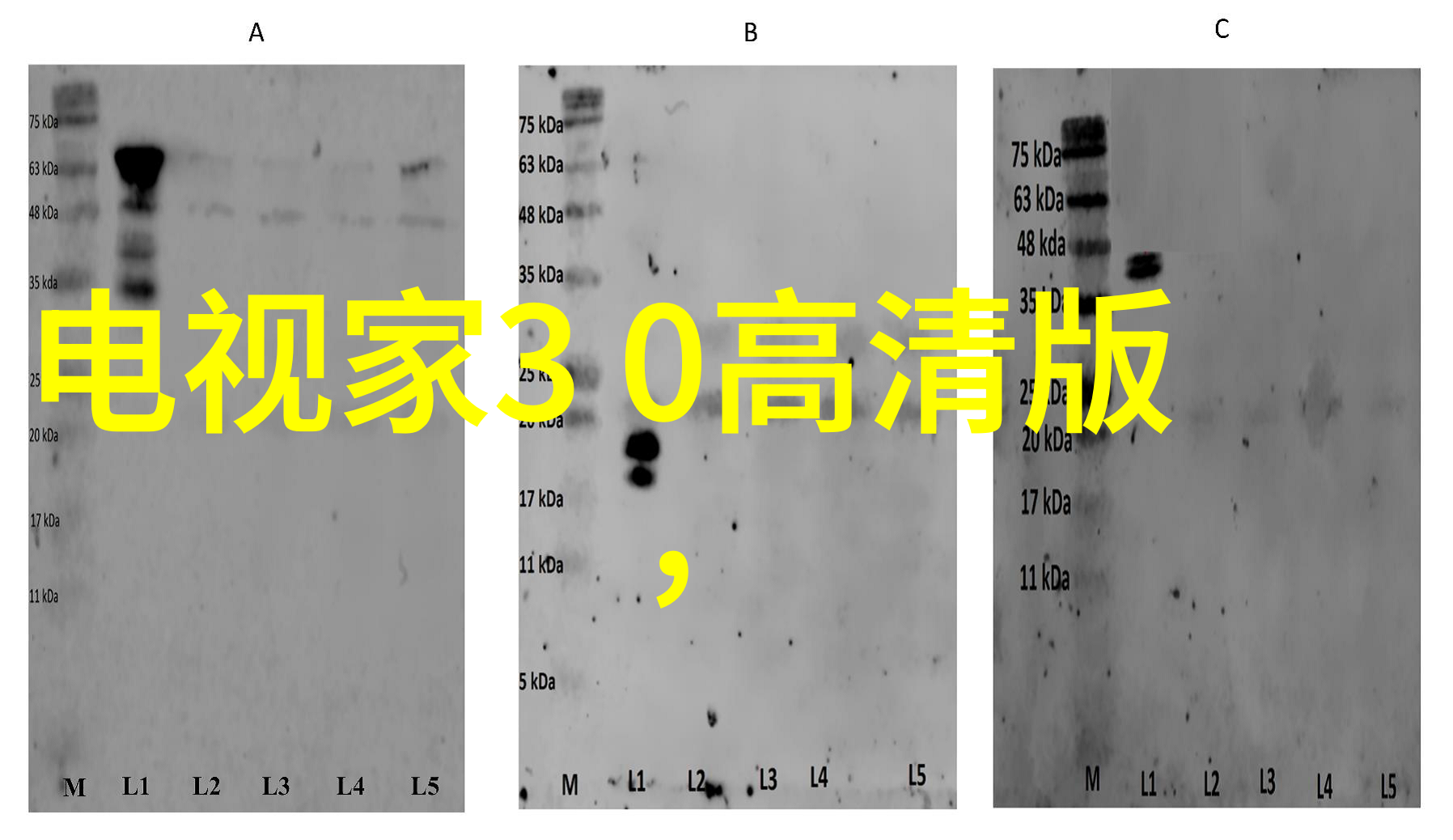 读书报告我是怎么从三体这本科幻小说中找到生活智慧的