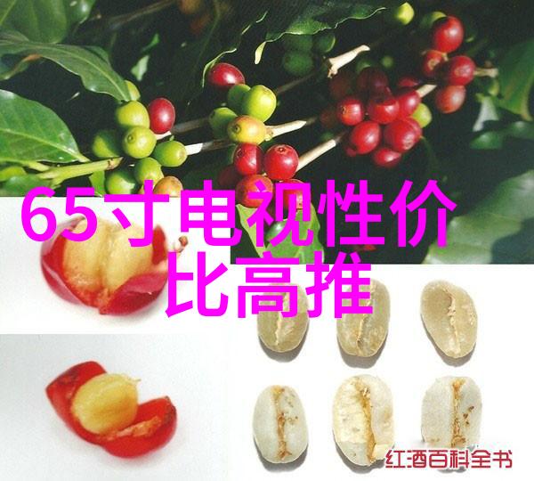 新品 大师级纯净水之巅超越极限的滤心传奇TC014