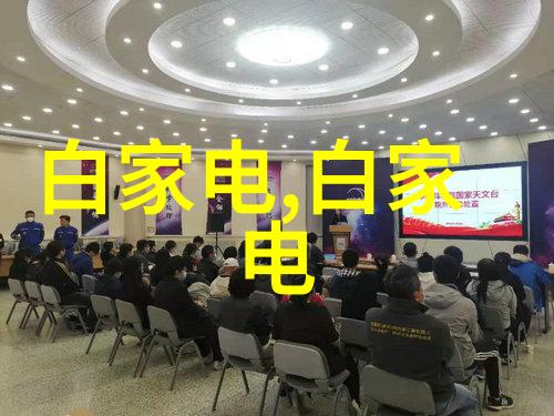 我的摄影梦想尼康D300S我如何用它捕捉生活的精彩瞬间