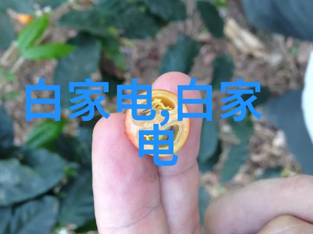 古董荧屏捕捉老式黑白电视机的怀旧瞬间